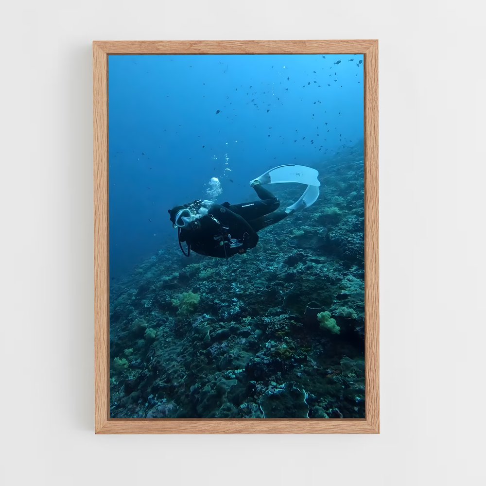 Poster Plongée Maldivienne – affiche Plongée sous-marine (vue 4)